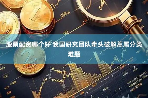 股票配资哪个好 我国研究团队牵头破解蒿属分类难题