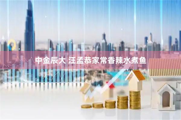 中金辰大 汪孟恭家常香辣水煮鱼