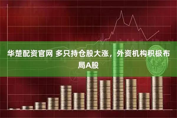 华楚配资官网 多只持仓股大涨，外资机构积极布局A股