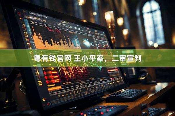 粤有钱官网 王小平案，二审宣判