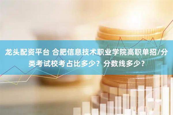 龙头配资平台 合肥信息技术职业学院高职单招/分类考试校考占比多少？分数线多少？