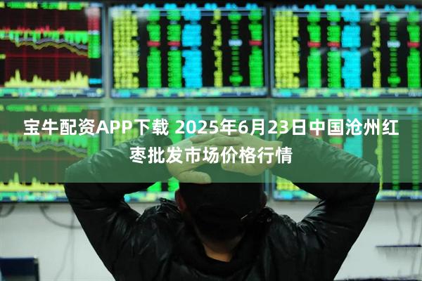 宝牛配资APP下载 2025年6月23日中国沧州红枣批发市场价格行情