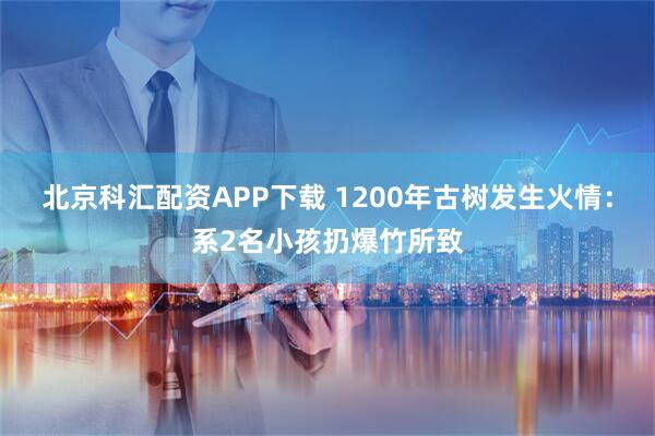北京科汇配资APP下载 1200年古树发生火情：系2名小孩扔爆竹所致