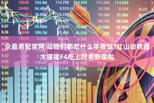 众盈易配官网 动物们都吃什么年夜饭?红山动物园大猩猩F4吃上同名野菜啦